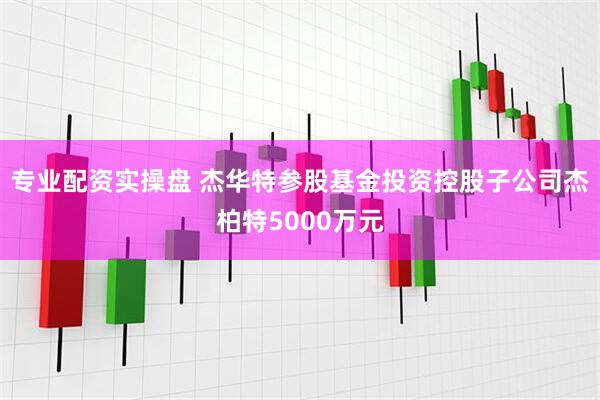 专业配资实操盘 杰华特参股基金投资控股子公司杰柏特5000万元